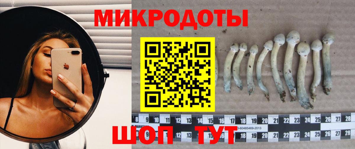 Гулькевичи  Галлюциногенные грибы Psilocybe  где найти наркотики  Галлюциногенные грибы GOLDEN TEACHER  Вход с VPN 